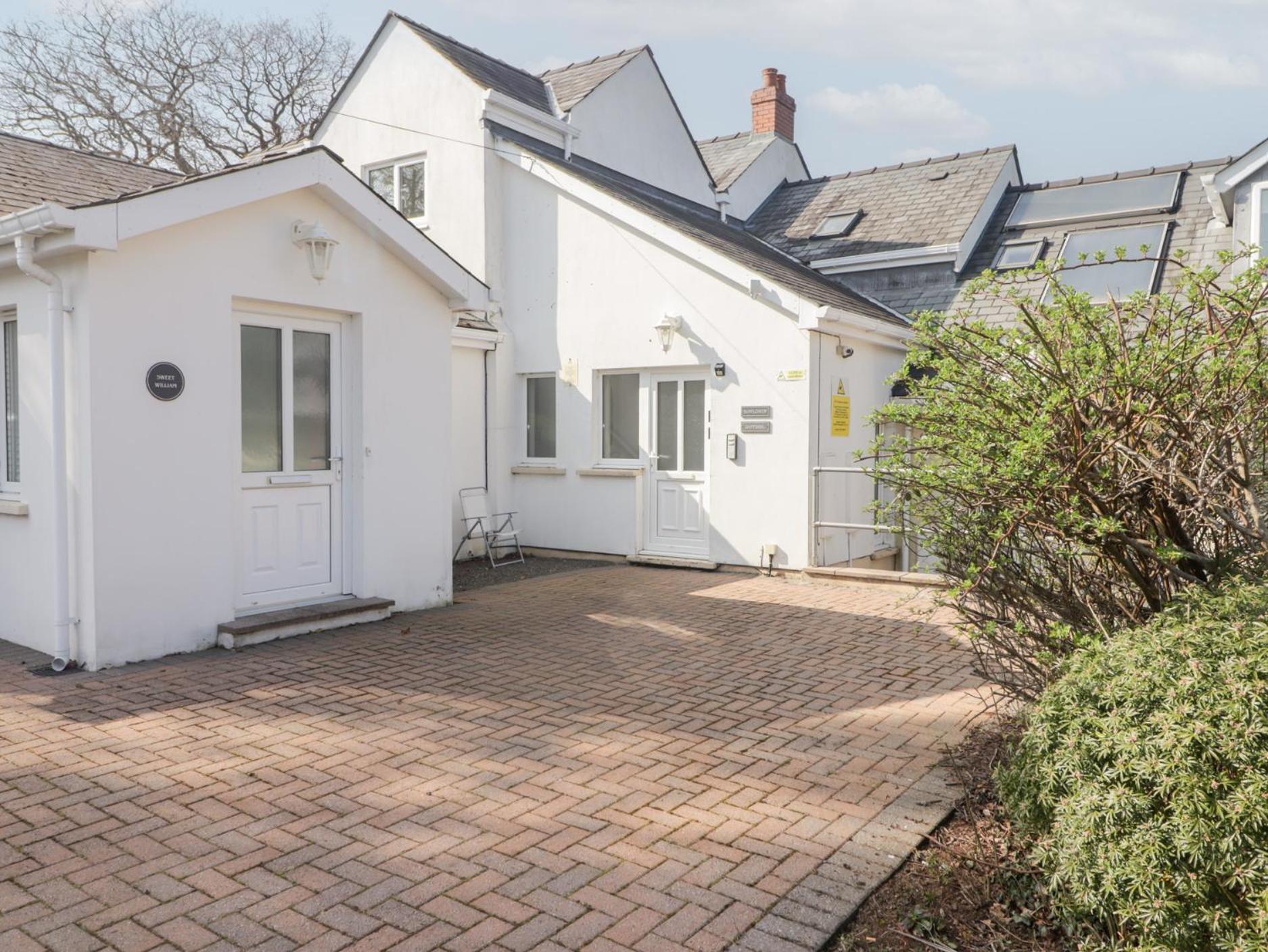Daffodil Apartment Tenby Exterior photo